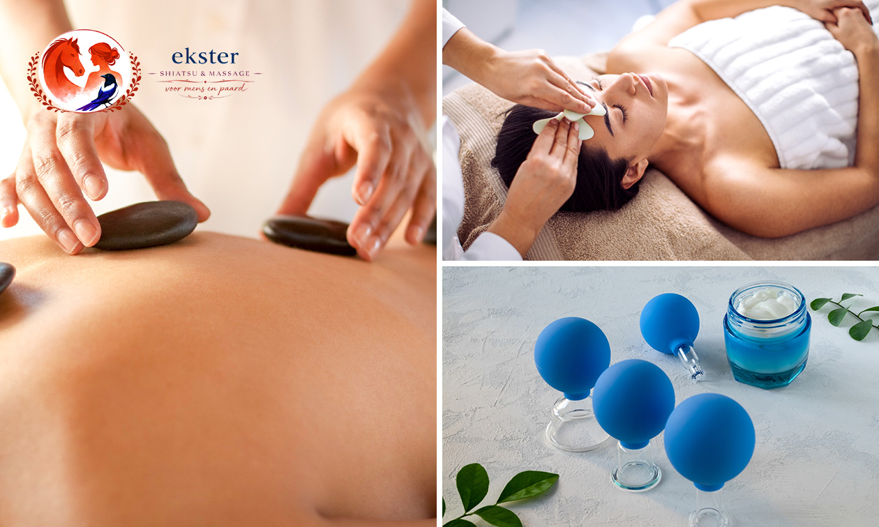 Ekster Shiatsu & Massage