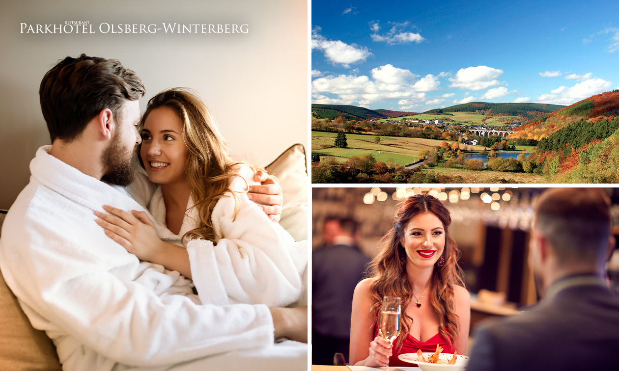 Fletcher Parkhotel Olsberg-Winterberg