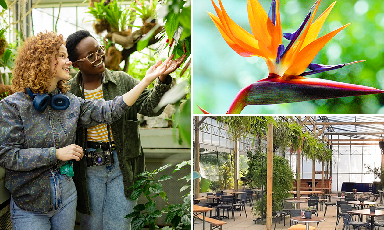 TU Delft Hortus Botanicus