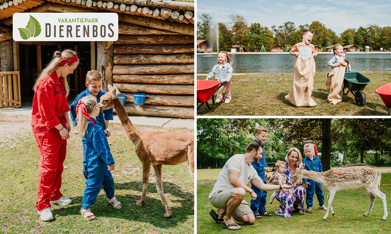 Vakantiepark Dierenbos